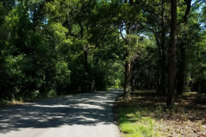 Buescher State Park