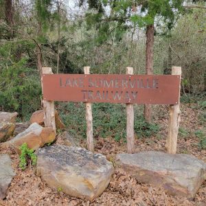 Lake Somerville State Park and Trailway