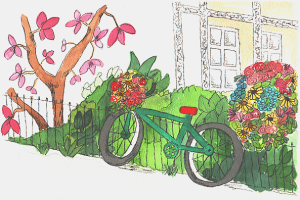 A springtime bicycle in New Orleans