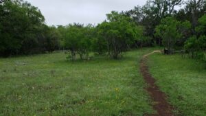Guadalupe River State Park